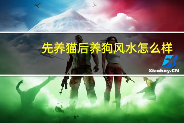 先养猫后养狗风水怎么样