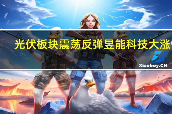 光伏板块震荡反弹 昱能科技大涨9%
