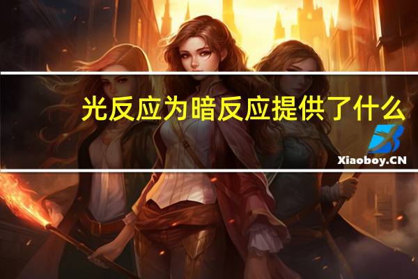 光反应为暗反应提供了什么