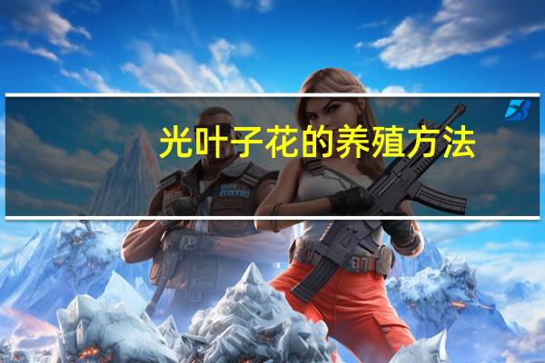 光叶子花的养殖方法