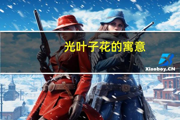 光叶子花的寓意
