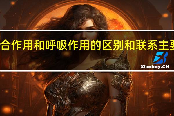 光合作用和呼吸作用的区别和联系主要有哪些