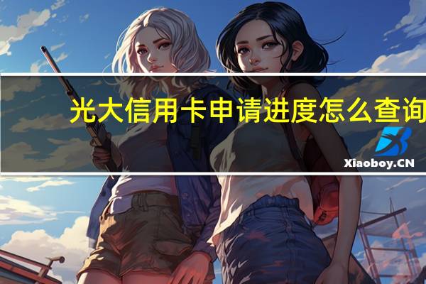 光大信用卡申请进度怎么查询（有几种查询方式）