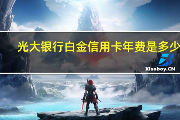 光大银行白金信用卡年费是多少钱(光大银行白金信用卡年费多少)