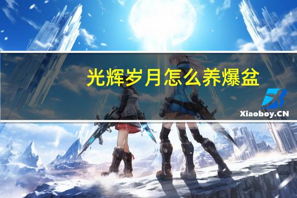 光辉岁月怎么养爆盆