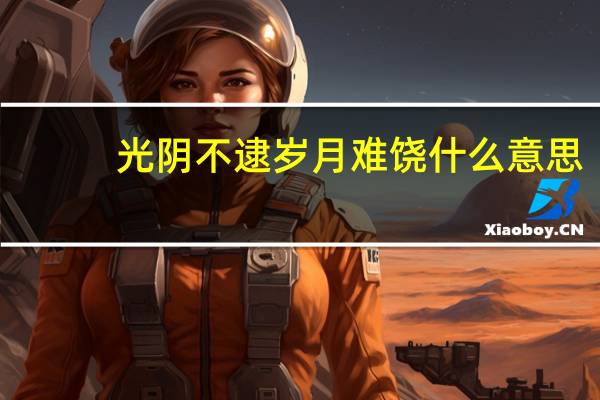 光阴不逮岁月难饶什么意思