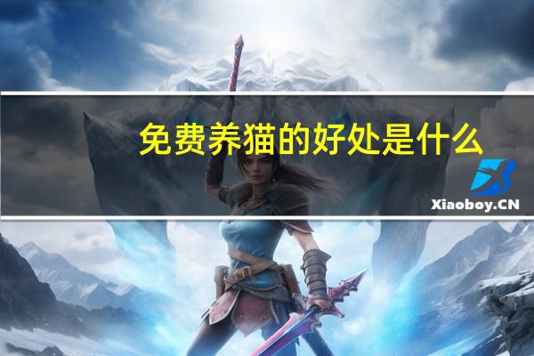 免费养猫的好处是什么