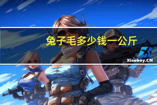 兔子毛多少钱一公斤