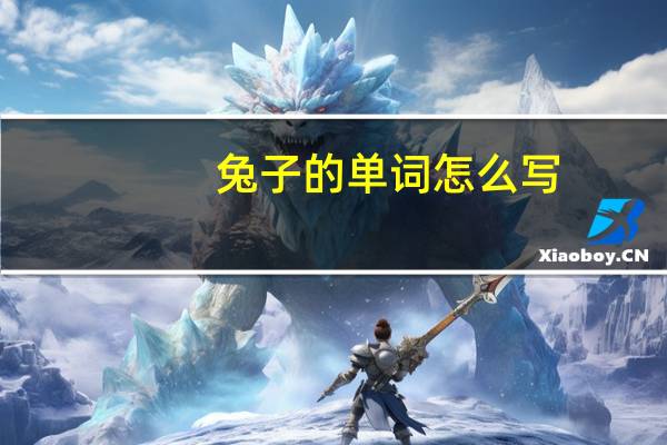 兔子的单词怎么写