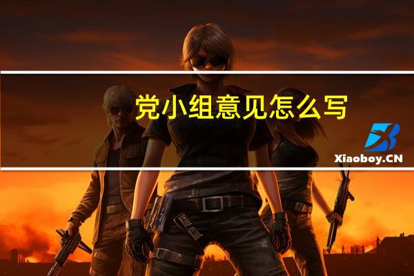 党小组意见怎么写（党小组意见）