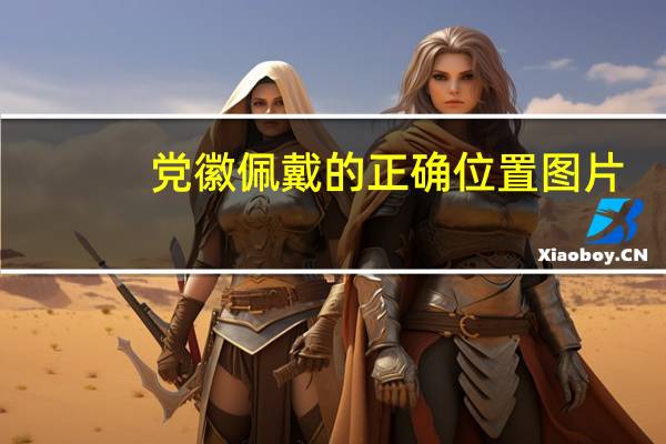 党徽佩戴的正确位置图片（党徽佩戴的正确位置）