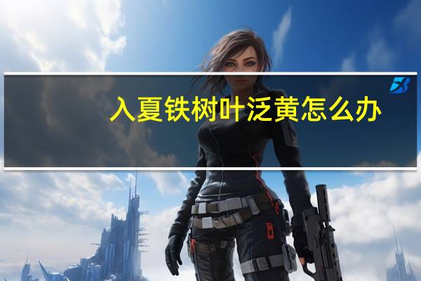 入夏铁树叶泛黄怎么办