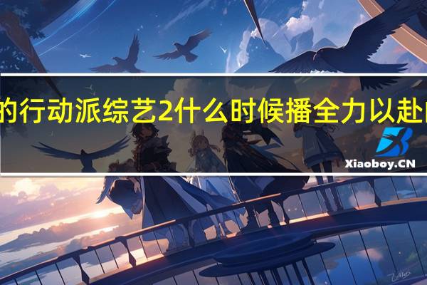 全力奔赴的行动派综艺2什么时候播 全力以赴的行动派第二季