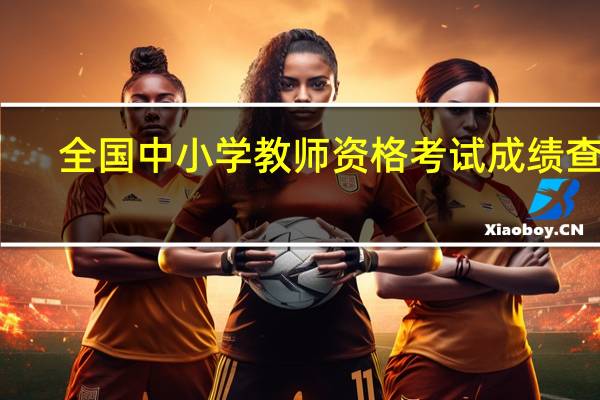 全国中小学教师资格考试成绩查询
