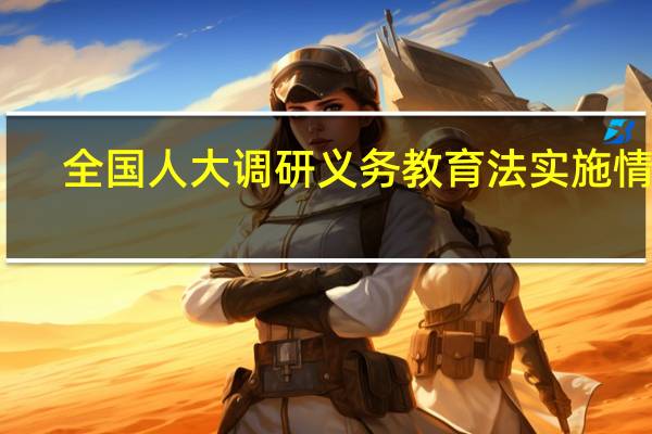 全国人大调研义务教育法实施情况