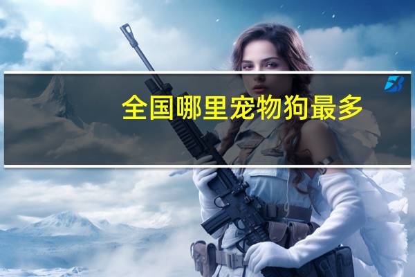 全国哪里宠物狗最多