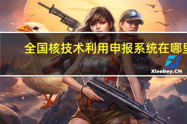 全国核技术利用申报系统在哪里（全国核技术利用申报系统）
