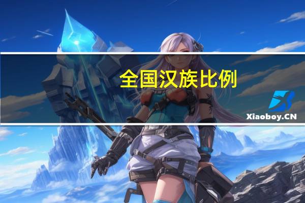 全国汉族比例
