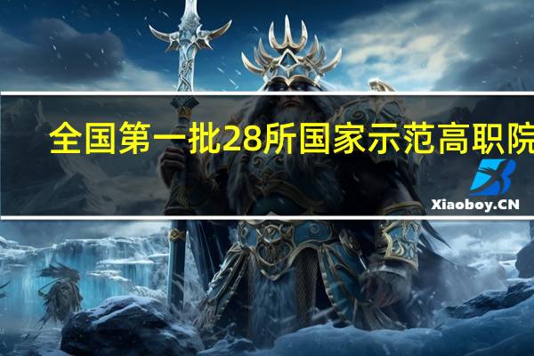 全国第一批28所国家示范高职院校，是那28所