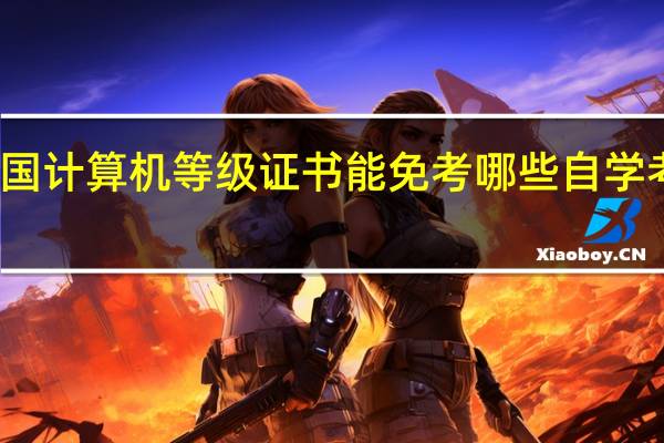 全国计算机等级证书能免考哪些自学考试课程