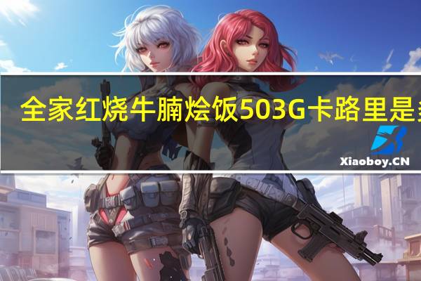 全家 红烧牛腩烩饭503G卡路里是多少
