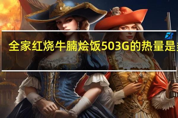 全家 红烧牛腩烩饭503G的热量是多少