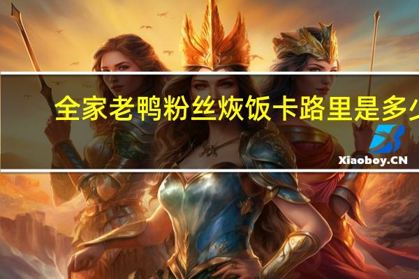 全家 老鸭粉丝烣饭卡路里是多少
