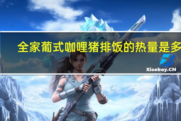 全家 葡式咖哩猪排饭的热量是多少