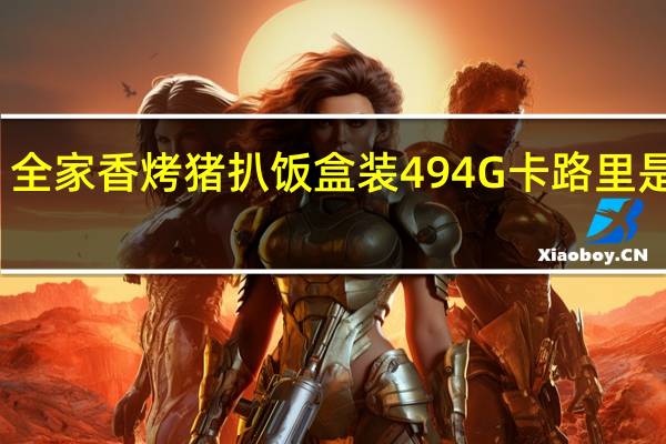 全家 香烤猪扒饭盒装494G卡路里是多少
