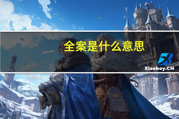 全案是什么意思