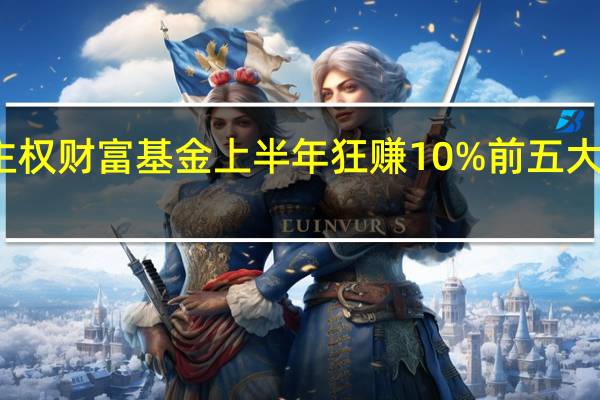 全球头部主权财富基金上半年狂赚10% 前五大持仓均为科技股