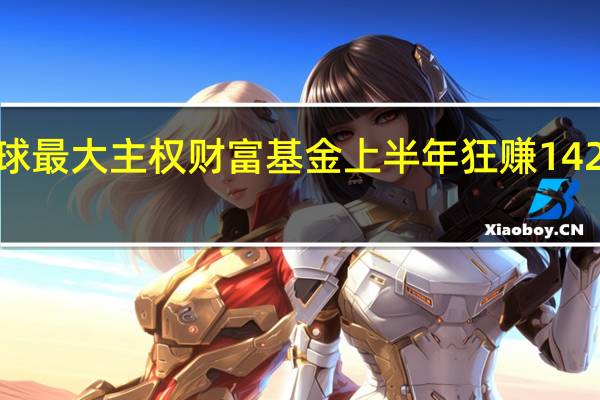 全球最大主权财富基金上半年狂赚1426亿美元