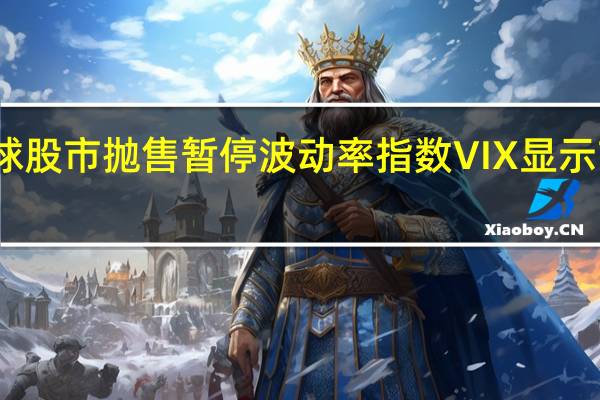 全球股市抛售暂停 波动率指数VIX显示市场平静
