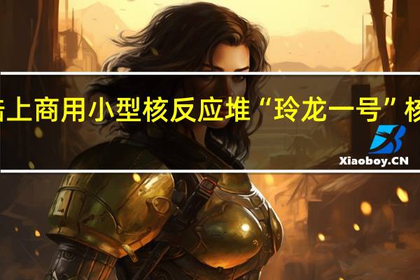 全球首个陆上商用小型核反应堆“玲龙一号”核心模块吊装成功