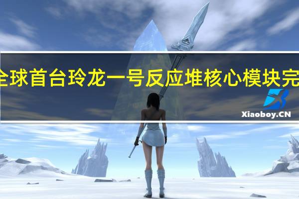全球首台玲龙一号反应堆核心模块完成吊装