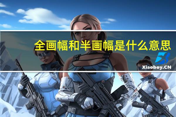全画幅和半画幅是什么意思（全画幅和半画幅的区别）