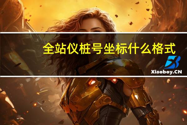 全站仪桩号坐标什么格式