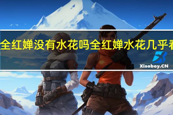全红婵没有水花吗 全红婵水花几乎看不见