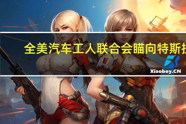 全美汽车工人联合会瞄向特斯拉