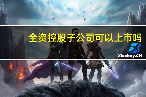 全资控股子公司可以上市吗(全资控股子公司和二级全资控股子公司有什么区别吗)