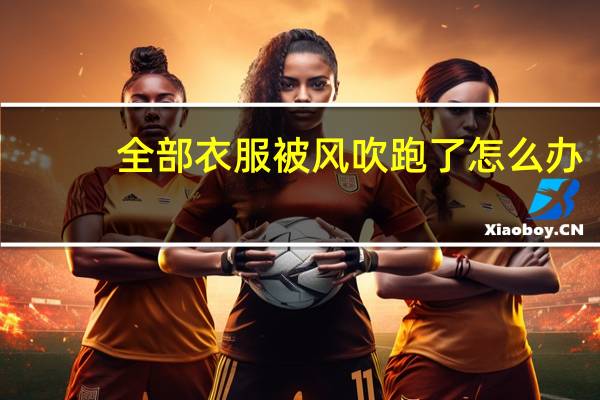 全部衣服被风吹跑了怎么办