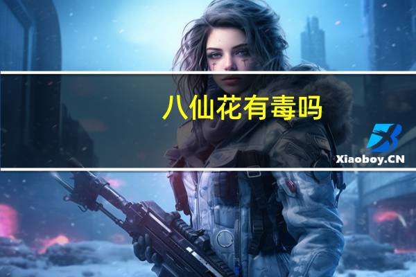 八仙花有毒吗
