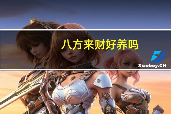 八方来财好养吗