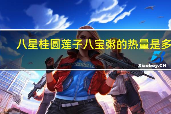 八星 桂圆莲子八宝粥的热量是多少