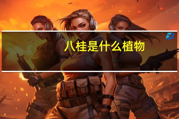 八桂是什么植物