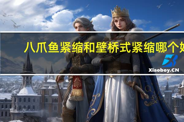 八爪鱼紧缩和壁桥式紧缩哪个好