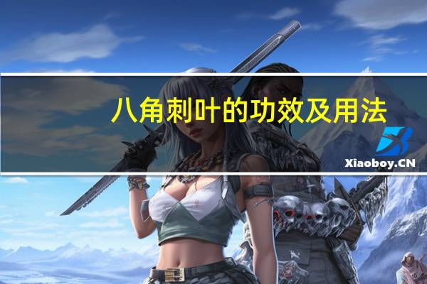 八角刺叶的功效及用法