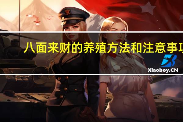 八面来财的养殖方法和注意事项
