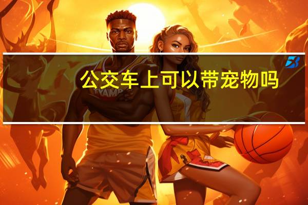 公交车上可以带宠物吗
