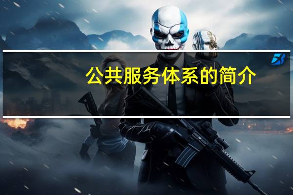 公共服务体系的简介